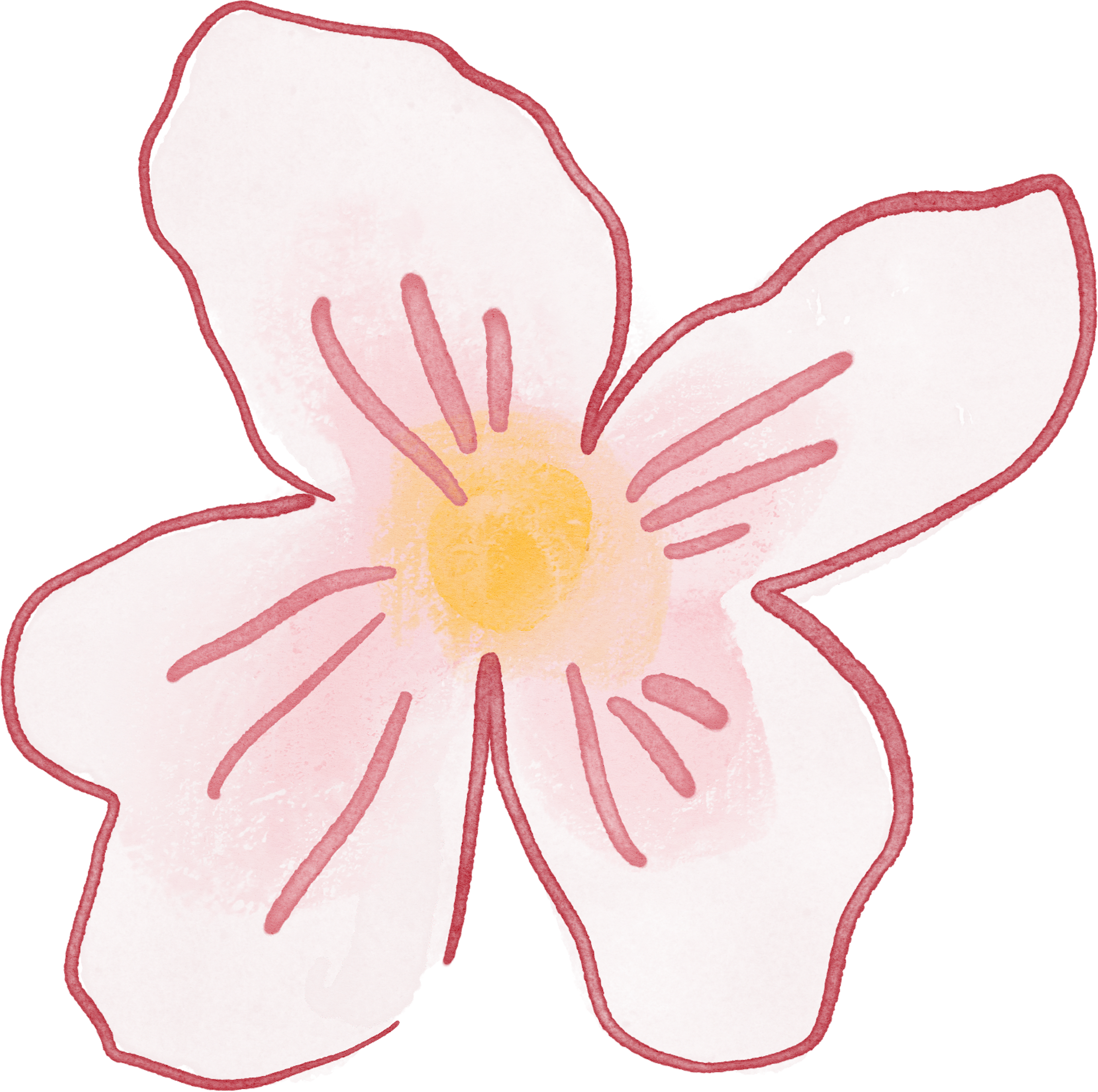 بوكيت سكن كير 2