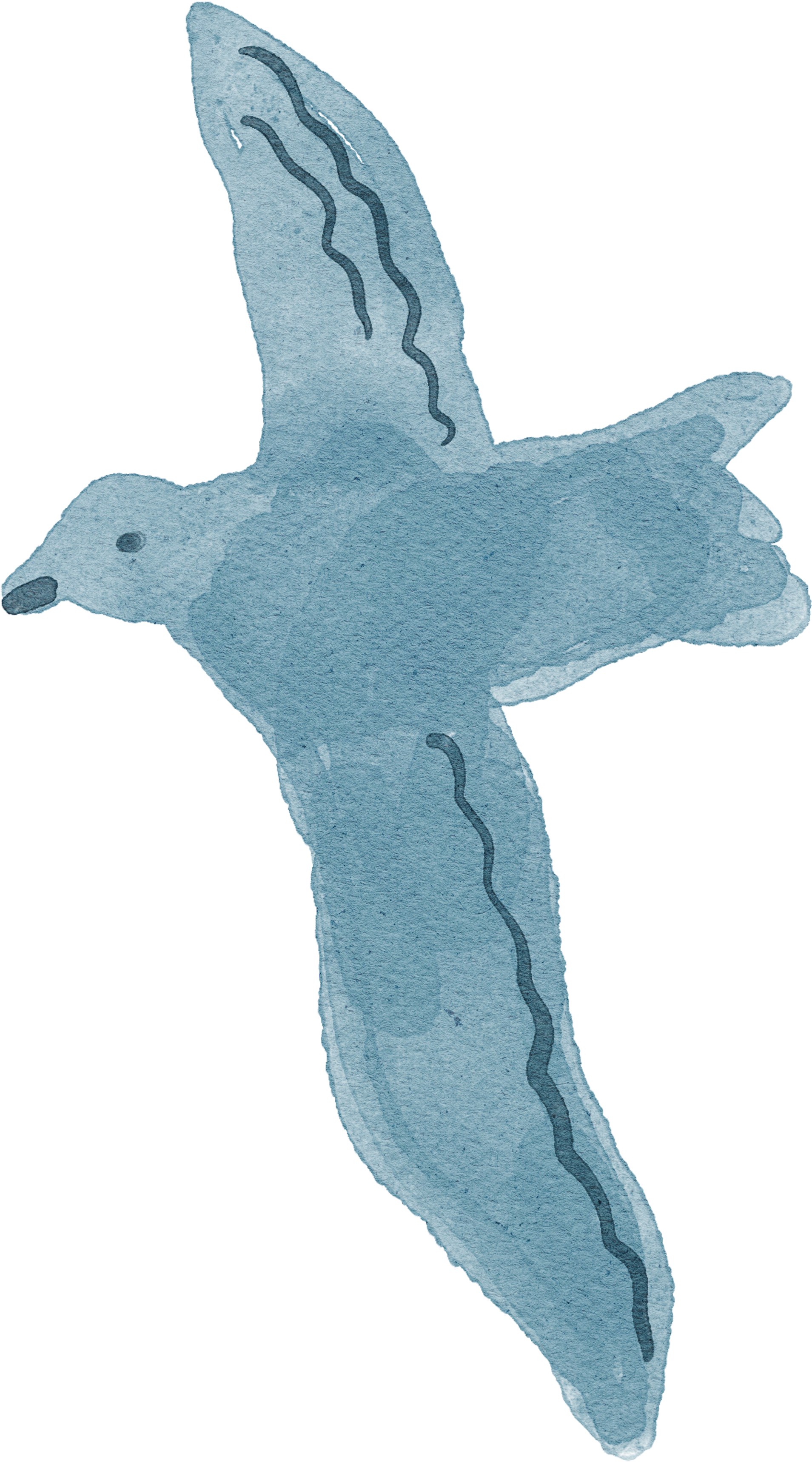 بوكس كاميرا كانون إصدار IXY650